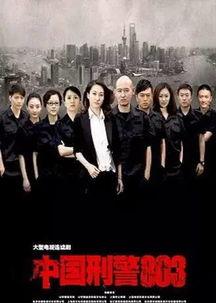 中国刑警803电视剧全集在线观看,全案揭秘，悬疑在线