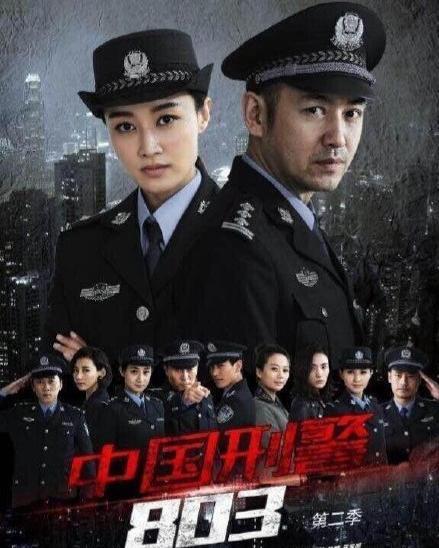 中国刑警803电视剧全集在线观看,全案揭秘，悬疑在线