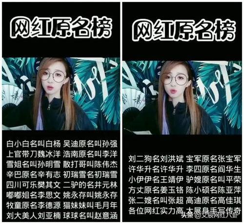 网红炒作爆料视频,揭秘背后爆料视频的真相与内幕