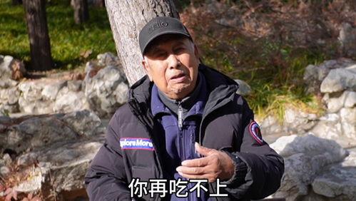 北京平安大爷最新爆料,最新爆料背后的惊人真相