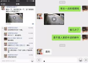 匿名官员爆料视频播放,揭秘政坛内幕