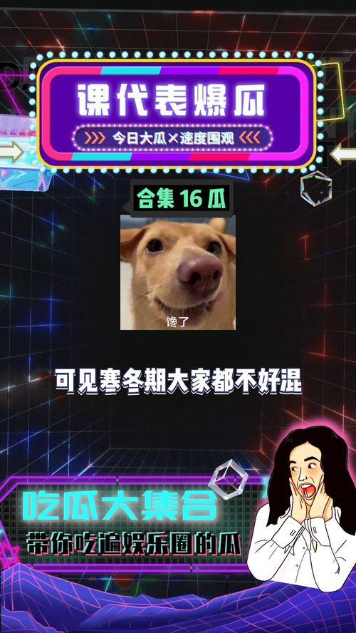 吃瓜与娱乐,揭秘娱乐圈幕后故事