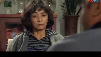 女婿难当 在线观看,揭秘现代家庭关系中的甜蜜与挑战