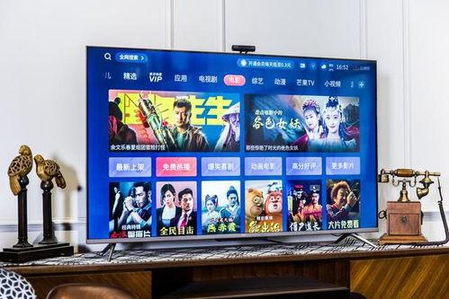 家庭内的娱乐在线观看,在线观看，畅享无限精彩