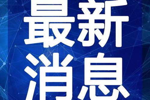 老秦爆料亲妈视频大全最新,独家爆料背后的故事