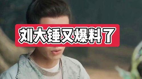 刘大锤爆料网红视频,视频爆料背后的惊人真相
