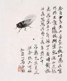 蝉翼在线观看,揭秘神秘世界的一扇窗