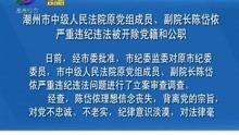 潮州骗局爆料新闻报道,新闻报道揭露惊人内幕