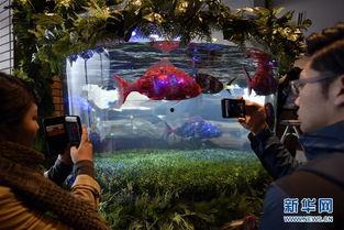 奇妙旅馆在线观看,在线观看带你领略异域风情