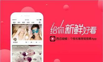 爆料短视频在线,揭秘网络舆论背后的秘密