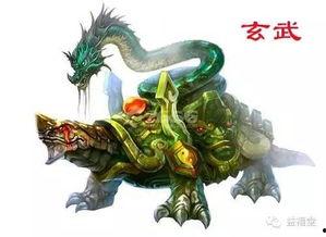 最新爆料四大神兽视频,最新视频曝光震撼来袭！