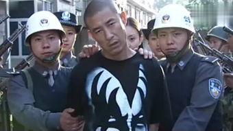 在线观看征服,揭秘网络世界的征服之旅