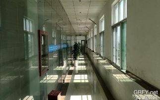 深圳坪地镇最新爆料,揭秘发展新篇章