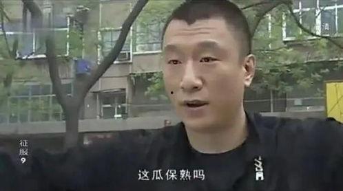 征服电视连续剧全集在线观看,全景呈现电视剧全集观看攻略
