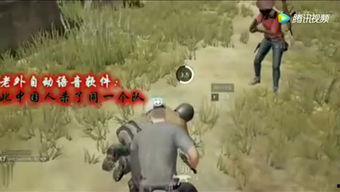 坤哥游戏爆料大全最新,揭秘最新游戏资讯与热门游戏攻略