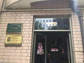 今日爆料快报,揭秘热点事件背后的真相