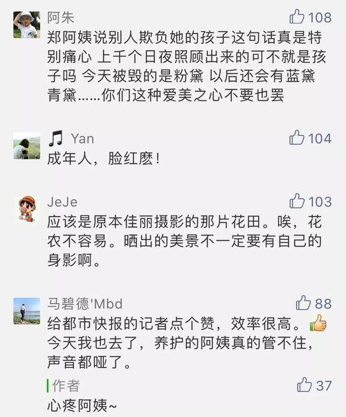 今日爆料快报,揭秘热点事件背后的真相