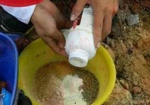 钓鱼假饵料爆料视频,独家假饵料视频大曝光