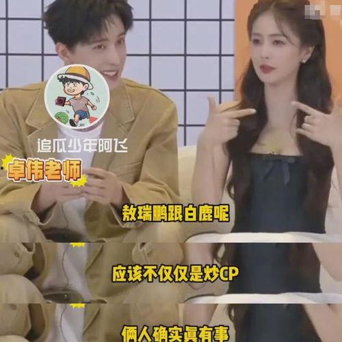 白鹿恋情爆料最新消息,最新爆料揭秘两人甜蜜日常