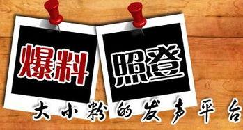 凤山新闻爆料,揭秘当地热点事件背后的真相