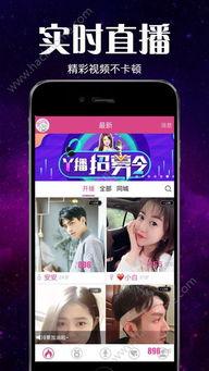 房东爆料直播视频大全最新,最新视频大全深度解析