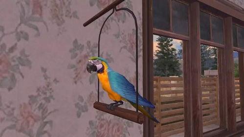 鹦鹉爆料的娱乐圈文,娱乐圈幕后风云大揭秘