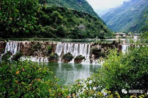 陇南成县网红吃瓜事件,一场网络狂欢背后的真相与反思