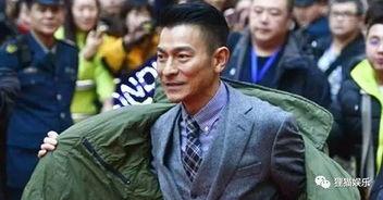 娱乐爆料刘德华视频播放,幕后故事引网友热议