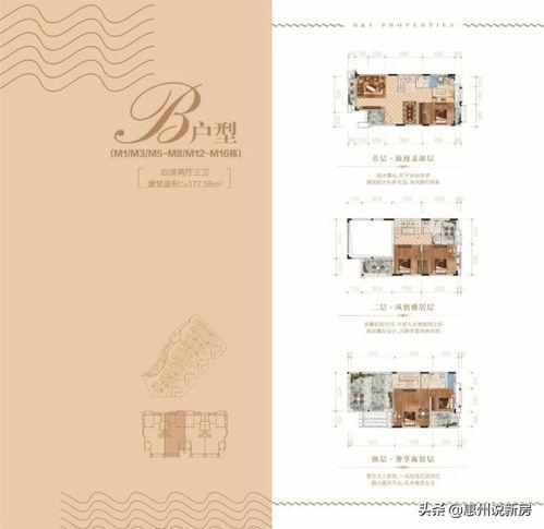 惠州爆料今日头条,最新热点事件追踪！