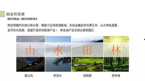 惠州爆料今日头条,最新热点事件追踪！