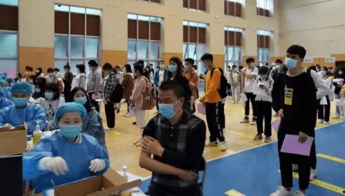 佛山桂城爆料案件最新消息,案情进展与疑点重重