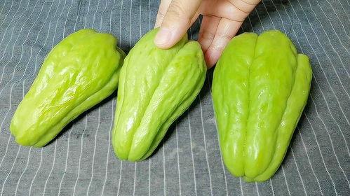 网红吃佛手瓜视频在线观看,口感独特引网友热议！