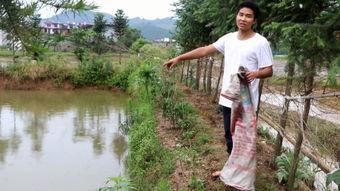 租期在线观看,在线观看下的时光流转