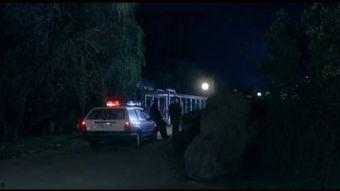 租期在线观看,在线观看下的时光流转