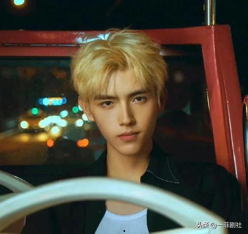 娱乐明星吃瓜资讯视频下载,娱乐资讯视频下载精选回顾