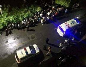 哈尔滨爆料男子死亡视频,真相调查与反思