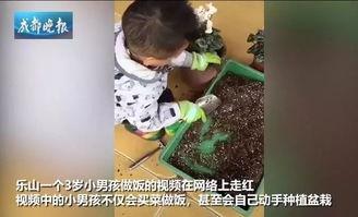 种花王大爷爆料视频,揭秘种花王大爷爆红视频背后的故事
