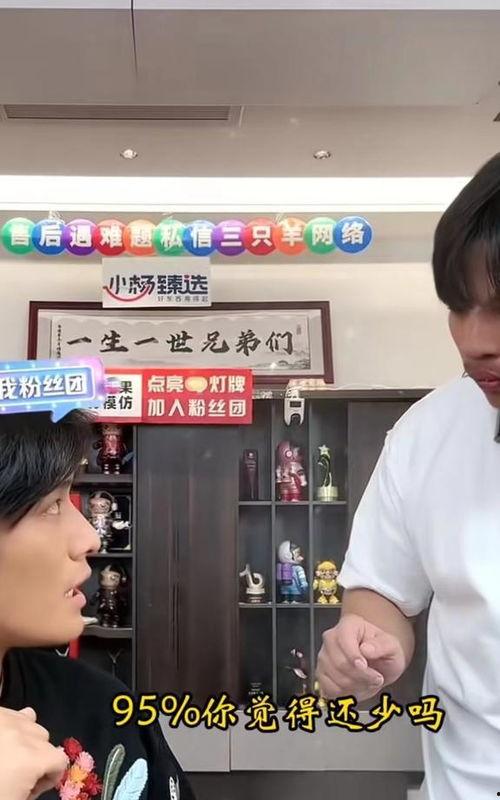 大杨哥爆料双11视频,视频爆料背后的精彩瞬间