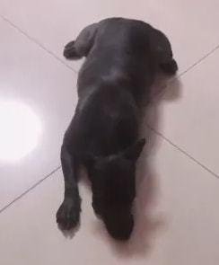 yy女主播大哥爆料视频,揭秘直播界幕后真相