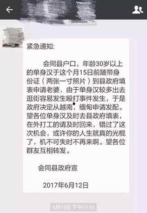 新闻故事爆料大全最新,最新热点事件深度剖析