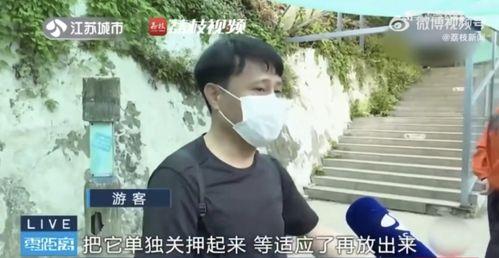 网红吃瓜情侣是谁呀,他们的甜蜜瓜田生活