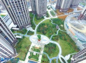 航拍世家爆料视频大全下载,视频大全下载背后的精彩故事