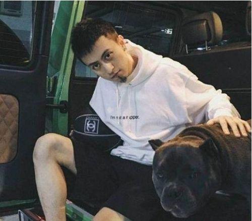 二狗爆料最新,揭秘娱乐圈惊人内幕