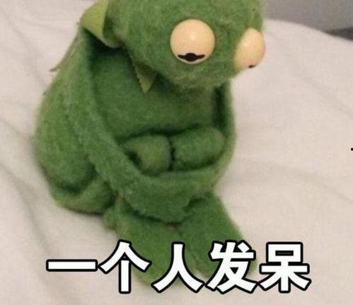 小蛙表情包爆料视频,揭秘幕后制作过程与趣味瞬间