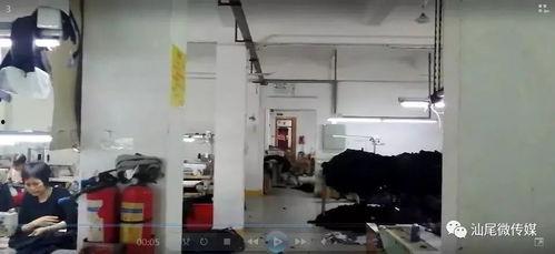 武汉制衣厂爆料事件视频,揭露工厂内幕的震撼视频曝光