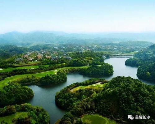 爆料青竹园视频在线观看,独家视频带你一探究竟