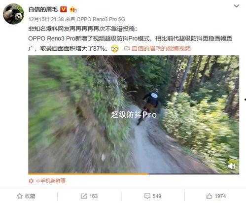 爆料青竹园视频在线观看,独家视频带你一探究竟