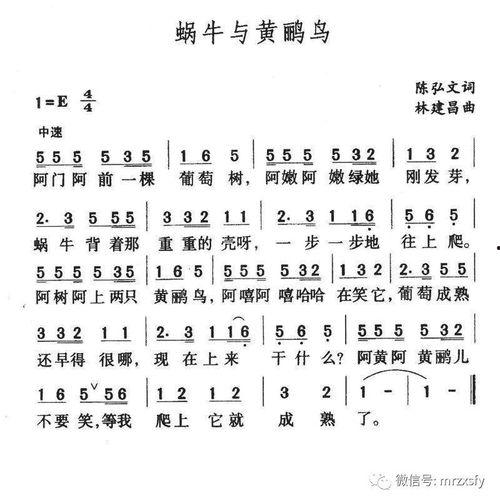 黄鹂视频在线观看,在线观看，尽享视听盛宴