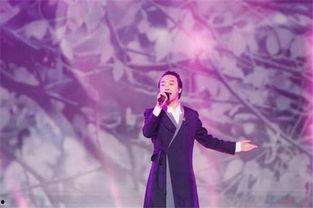 李玉刚爆料秘密视频,神秘视频背后的惊人真相