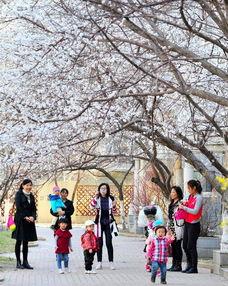 春暖花开最新爆料,揭秘最新爆料背后的精彩故事